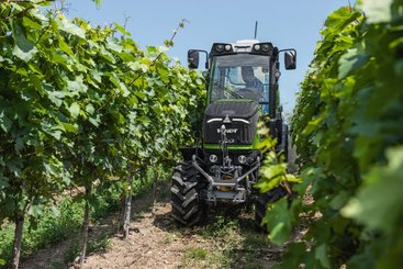 Tracteur vigneron / fruitier